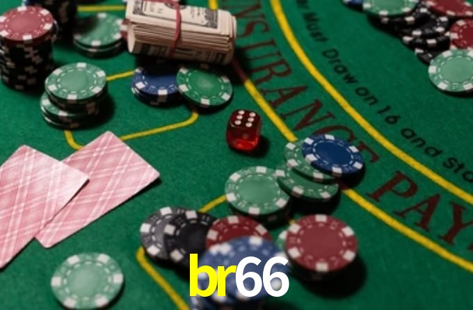 Premium Interface br66